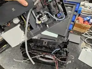 ACjCIkhXn1exGM4o