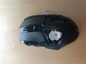 FZc31MAZUdNJGBel